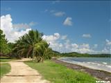 Los Machos Beach - CEIBA